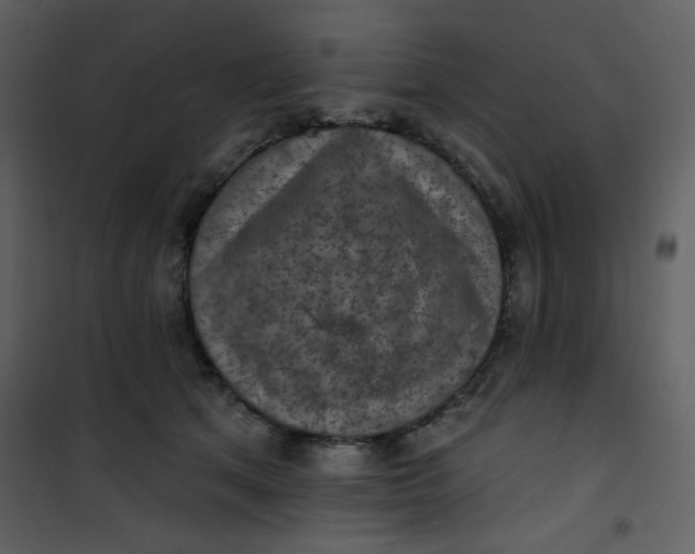 X0000101150513200807181337