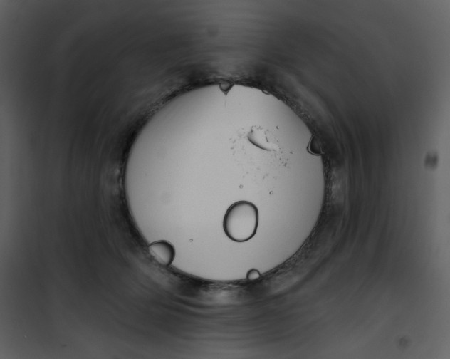 X0000101150514200807181337