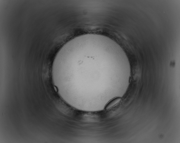 X0000101150515200807181337