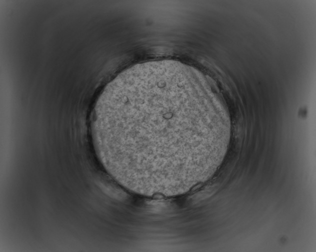 X0000101150516200807181337