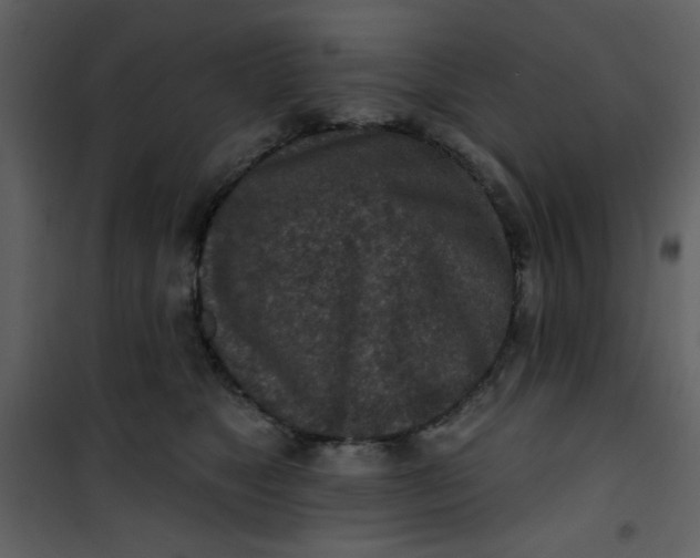 X0000101150517200807181337