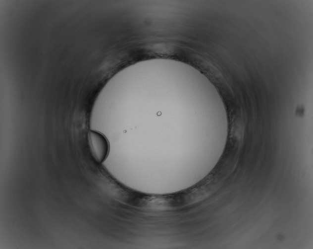 X0000101150518200807181337