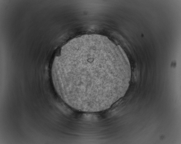 X0000101150520200807181337