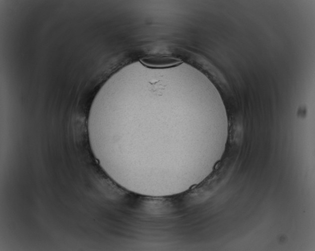 X0000101150521200807181337