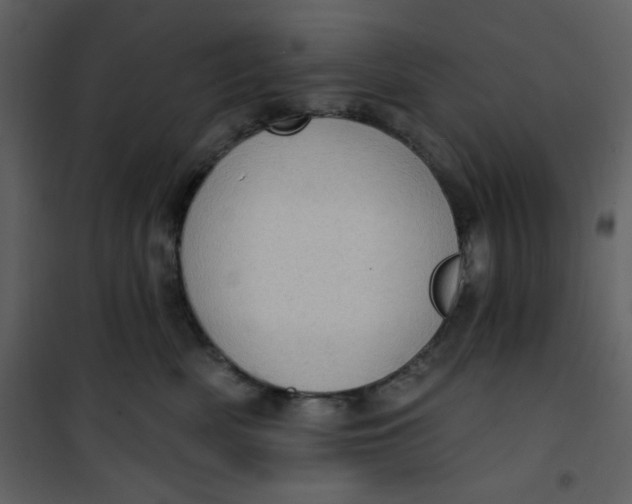 X0000101150522200807181337