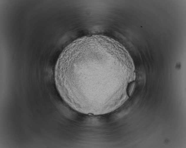 X0000101150523200807181337