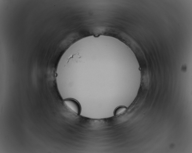 X0000101150525200807181337