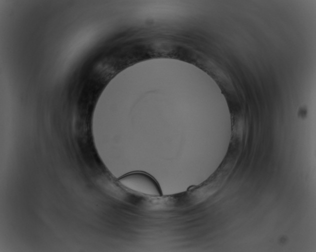 X0000101150526200807181337