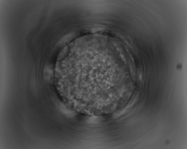 X0000101150527200807181337