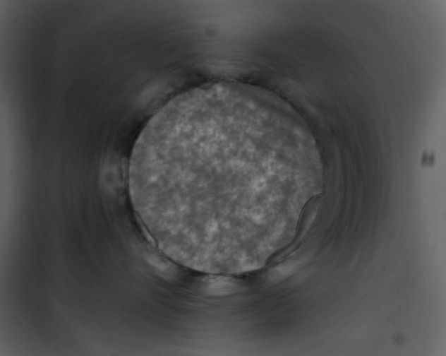 X0000101150528200807181337