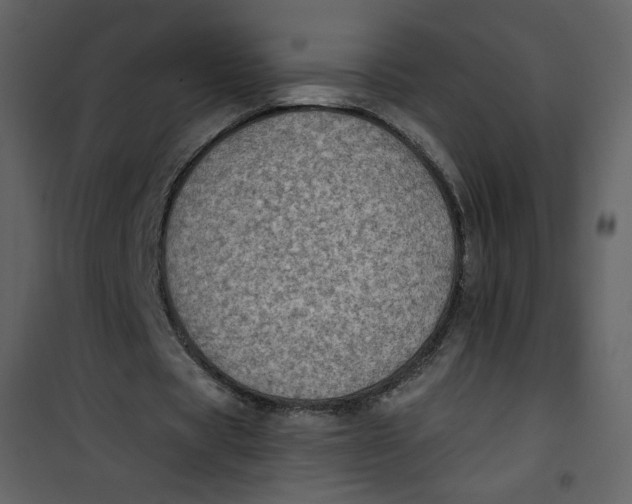 X0000101150529200807181336