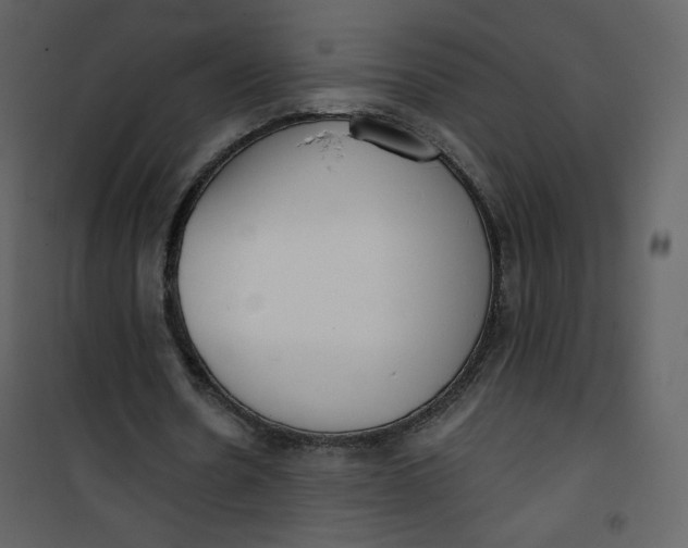 X0000101150530200807181336