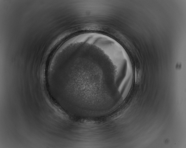 X0000101150531200807181336