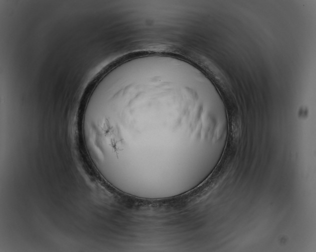 X0000101150532200807181336