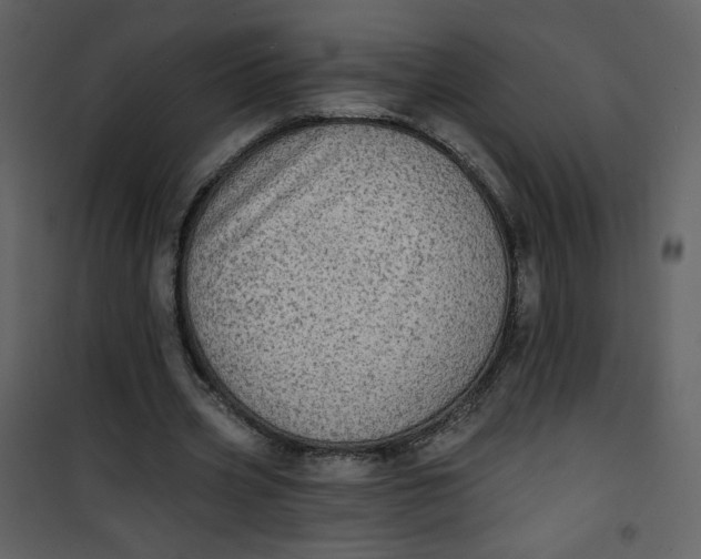 X0000101150533200807181337