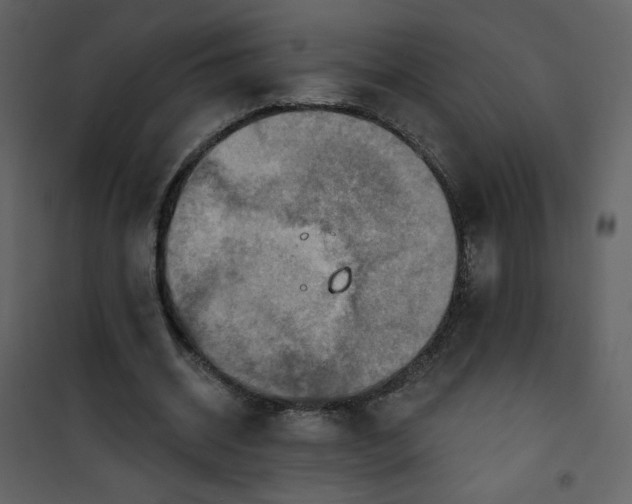 X0000101150534200807181337