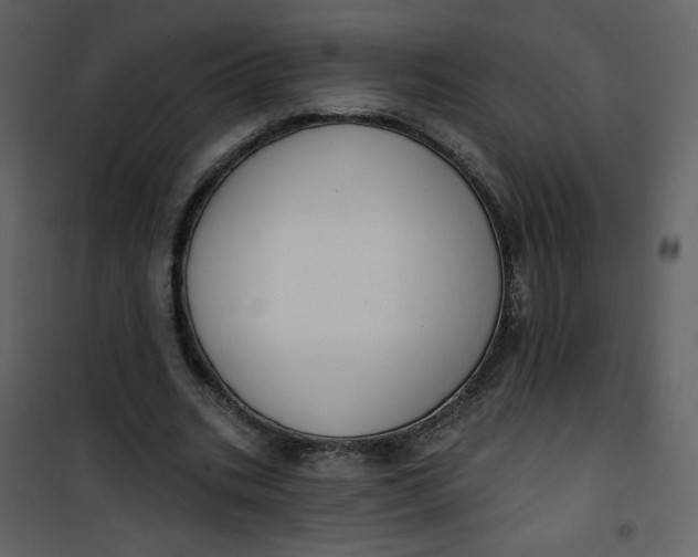 X0000101150535200807181337