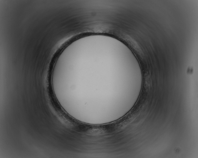 X0000101150536200807181337