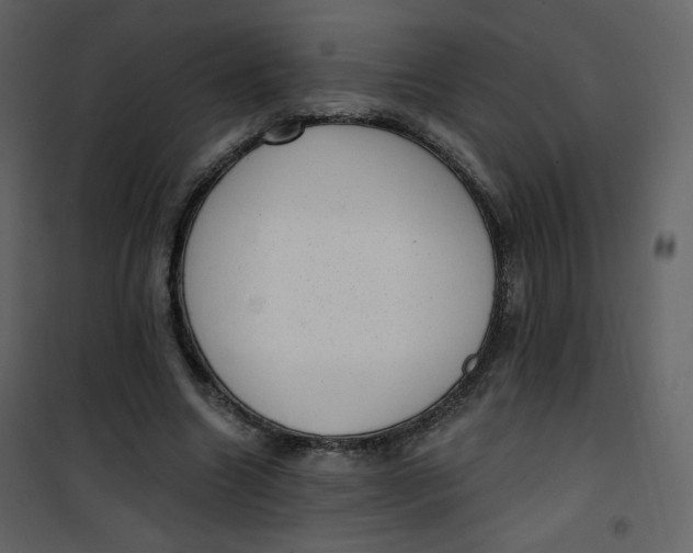 X0000101150538200807181337