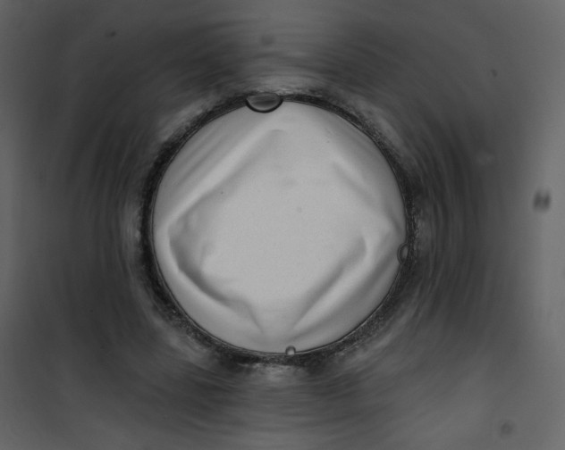 X0000101150539200807181337