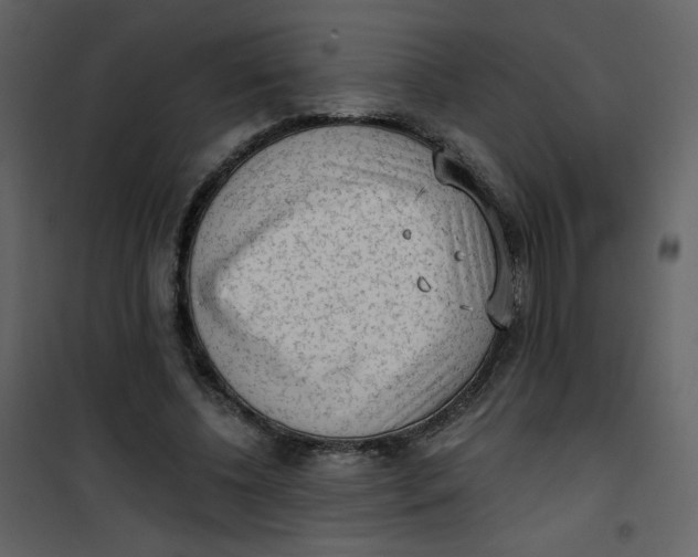 X0000101150540200807181337