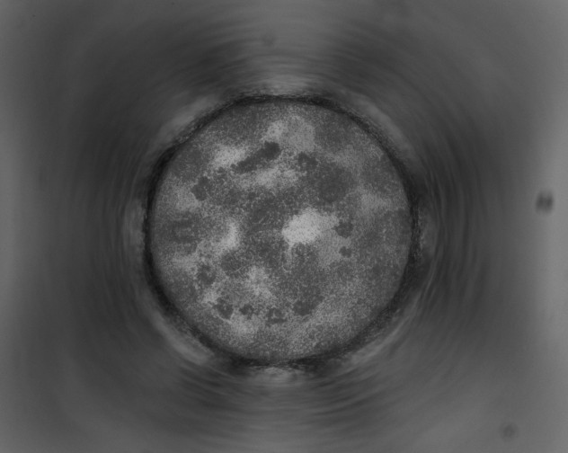 X0000101150542200807181337