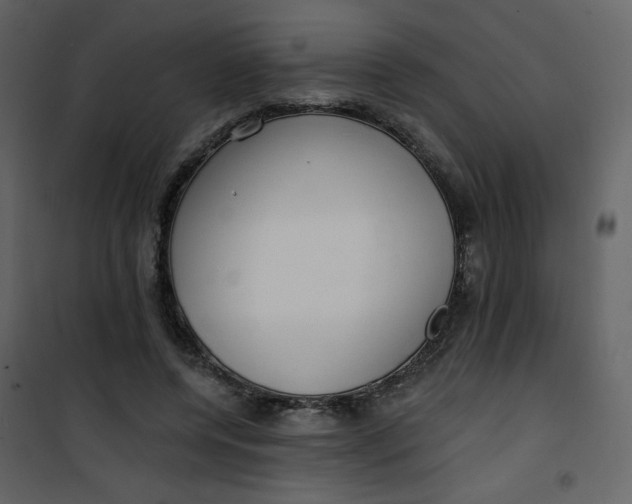 X0000101150544200807181337