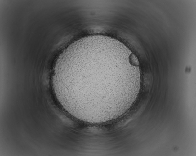 X0000101150545200807181337