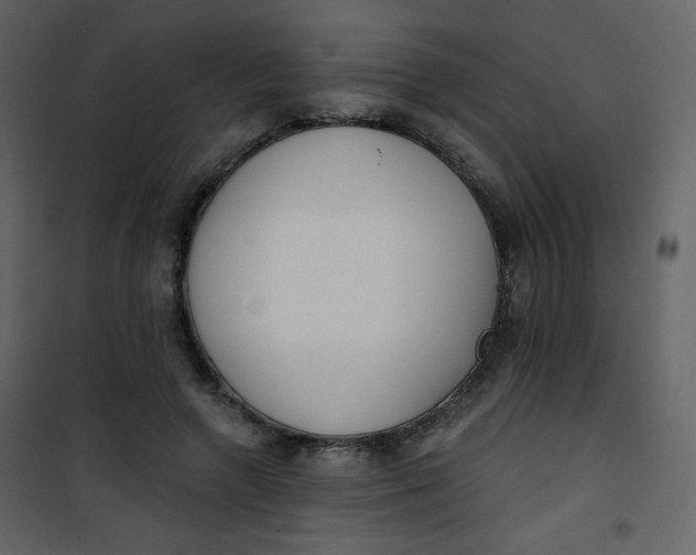 X0000101150546200807181337