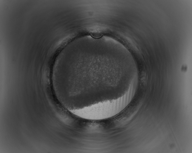 X0000101150547200807181337