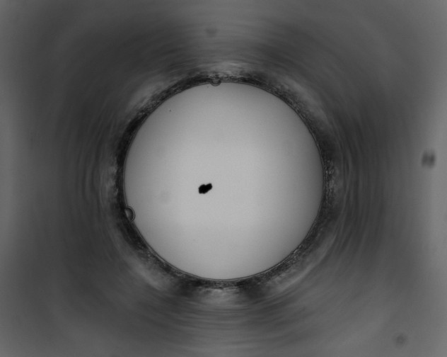 X0000101150548200807181337