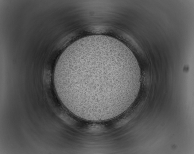 X0000101150549200807181337