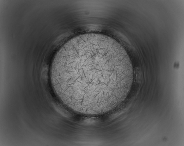 X0000101150550200807181337