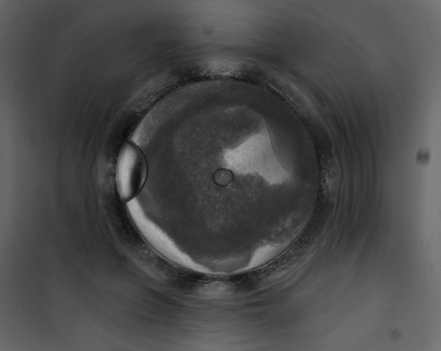 X0000101150551200807181337