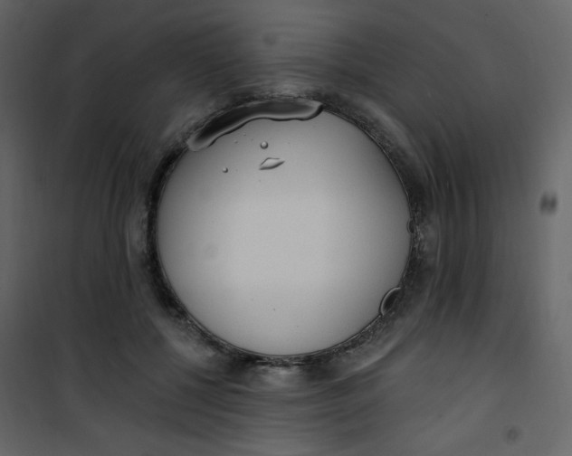 X0000101150552200807181337