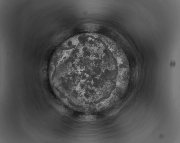 X0000101150553200807181337