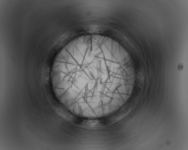 X0000101150554200807181337