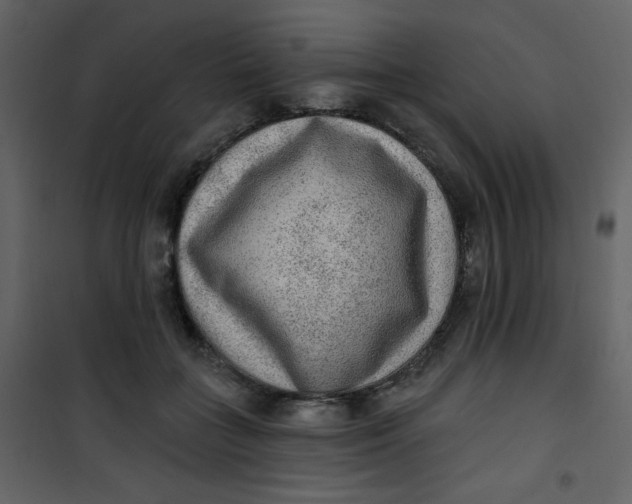 X0000101150555200807181337