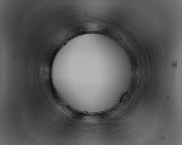 X0000101150556200807181337