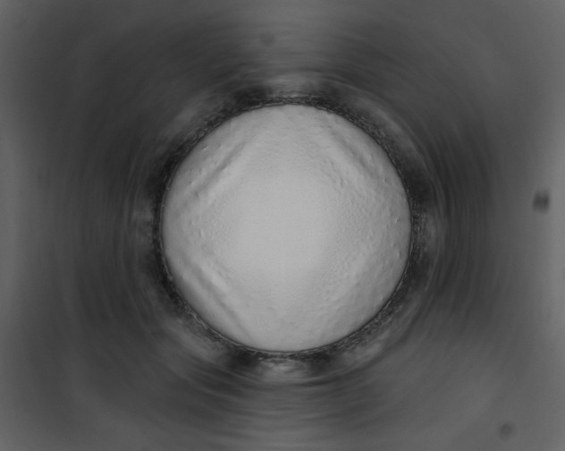 X0000101150557200807181337