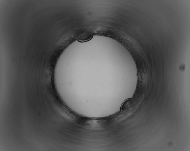 X0000101150558200807181337