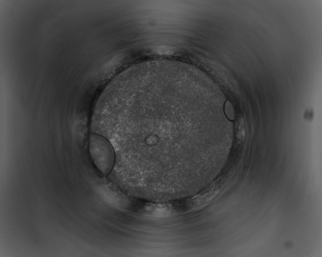 X0000101150559200807181337