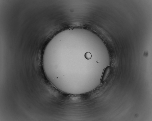 X0000101150560200807181337