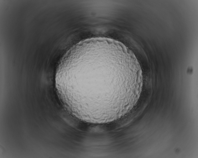 X0000101150561200807181337