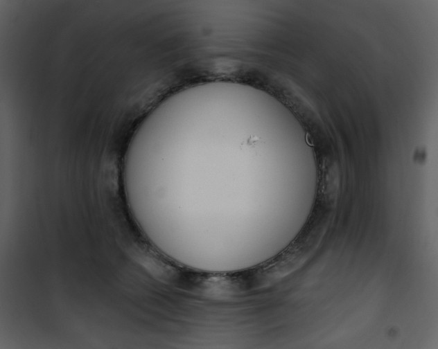 X0000101150562200807181337