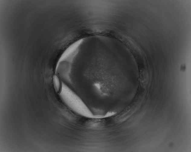 X0000101150563200807181337