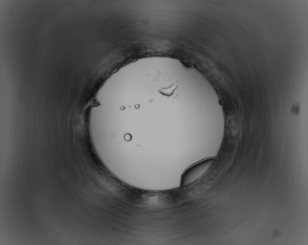 X0000101150564200807181337