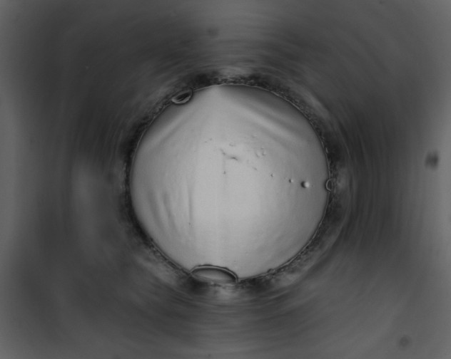 X0000101150565200807181337