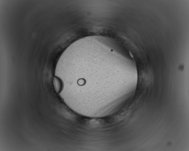 X0000101150566200807181337