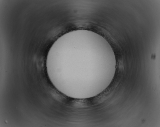 X0000101150567200807181337